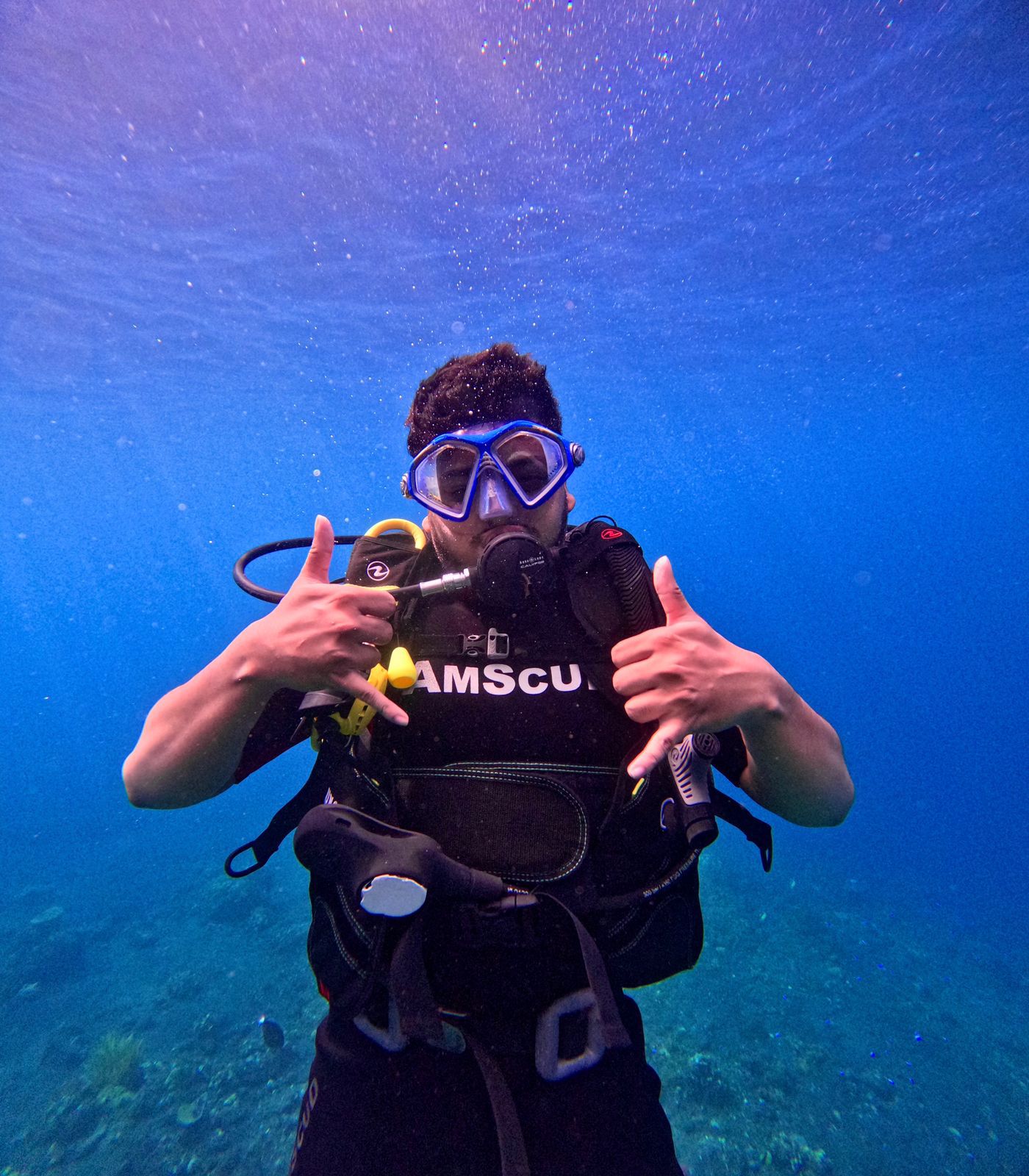 Dive into Bali, PADI diving and snorkeling