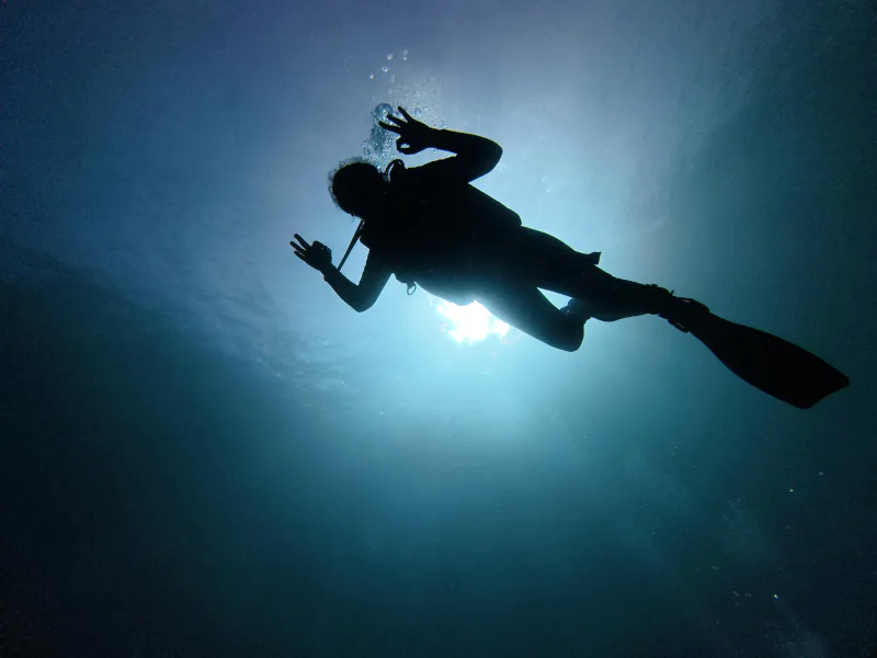 Free Diving Level 1, Bali