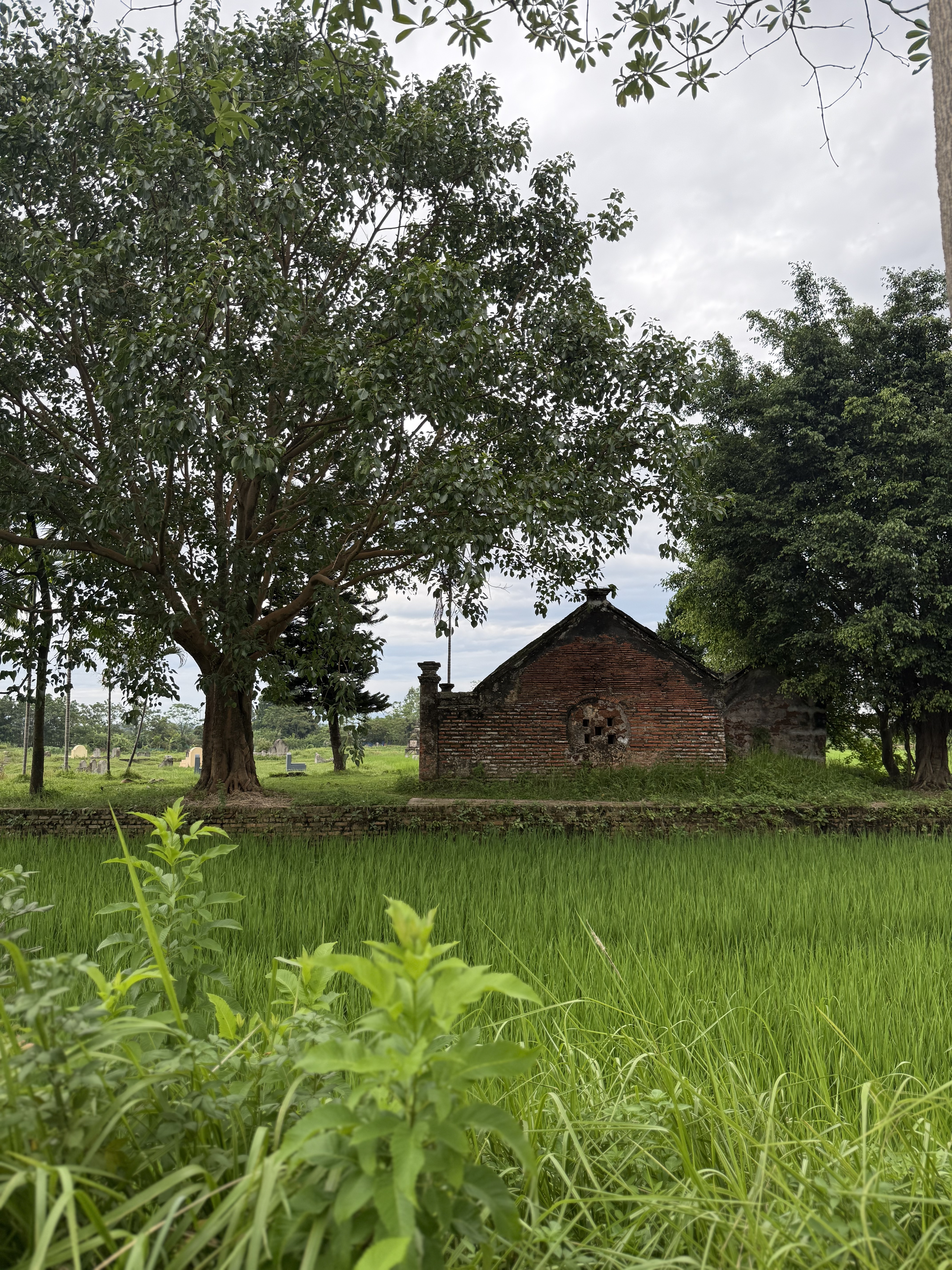 Traditional brick village house beside rice paddies, Northern Vietnam, Fitrip