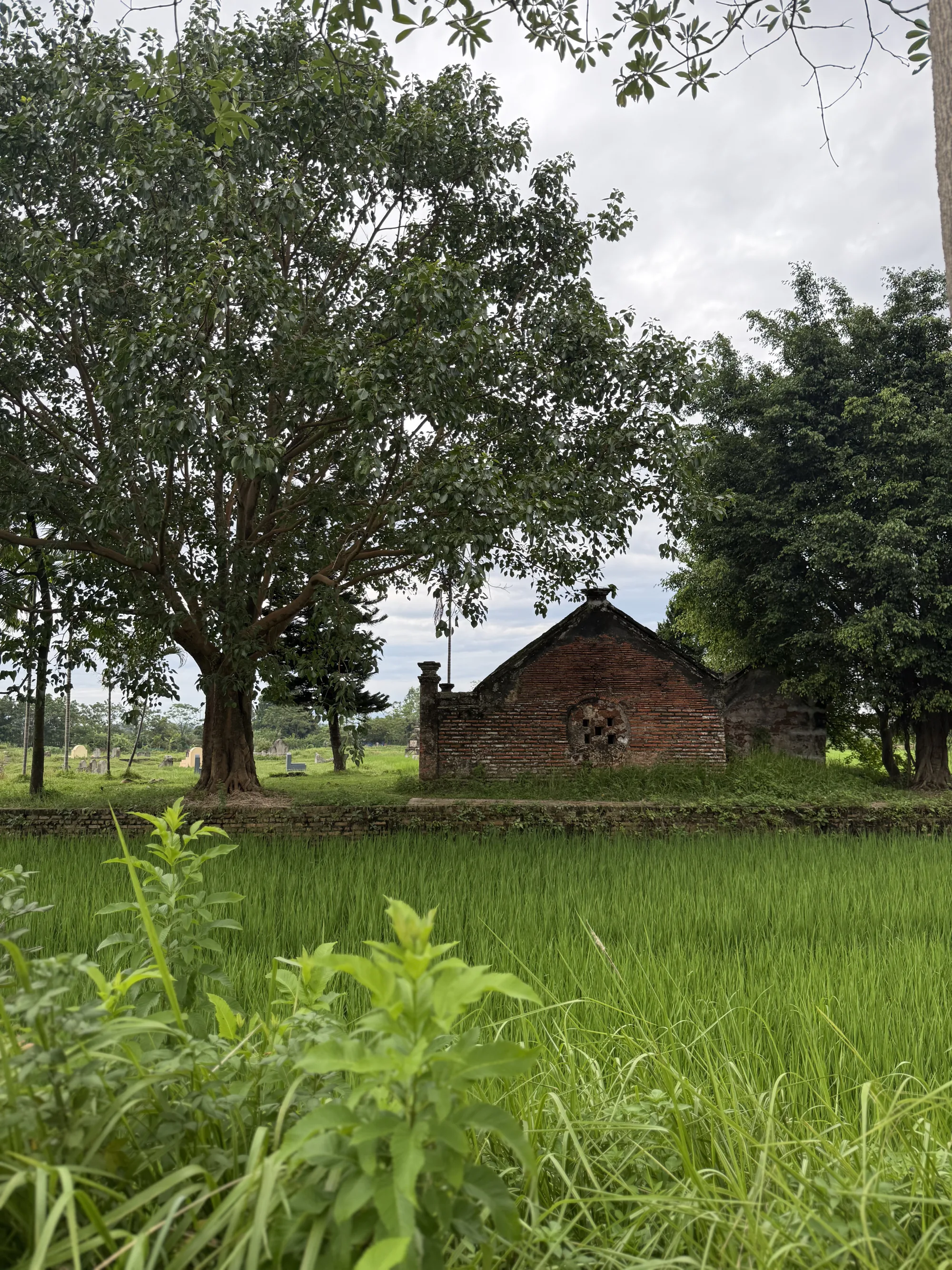 Traditional village house beside terraced rice paddies in northern Vietnam