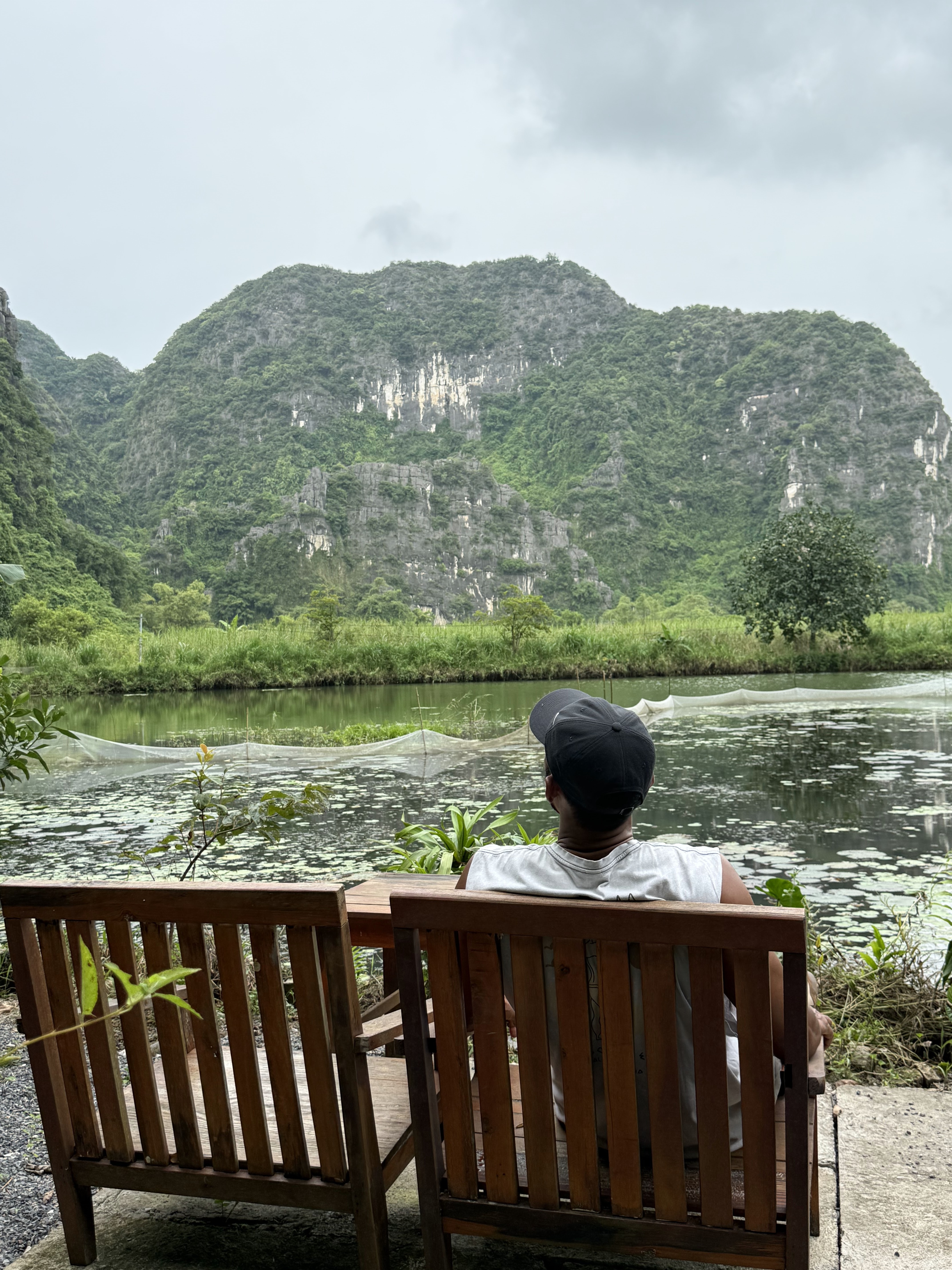 Overlooking a lily pond beneath limestone karsts, Ninh Binh Vietnam