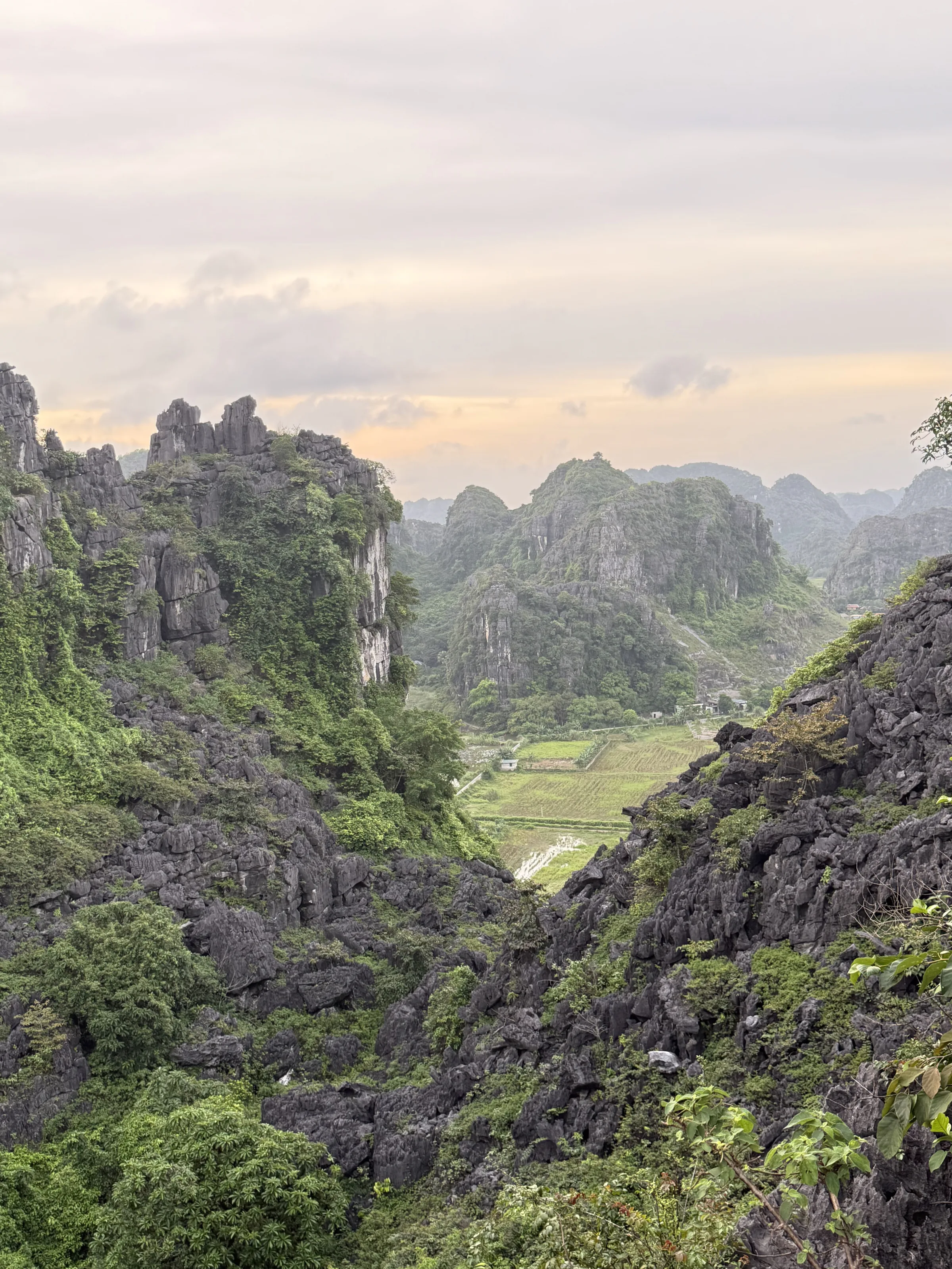 Limestone karst valley at golden hour, northern Vietnam