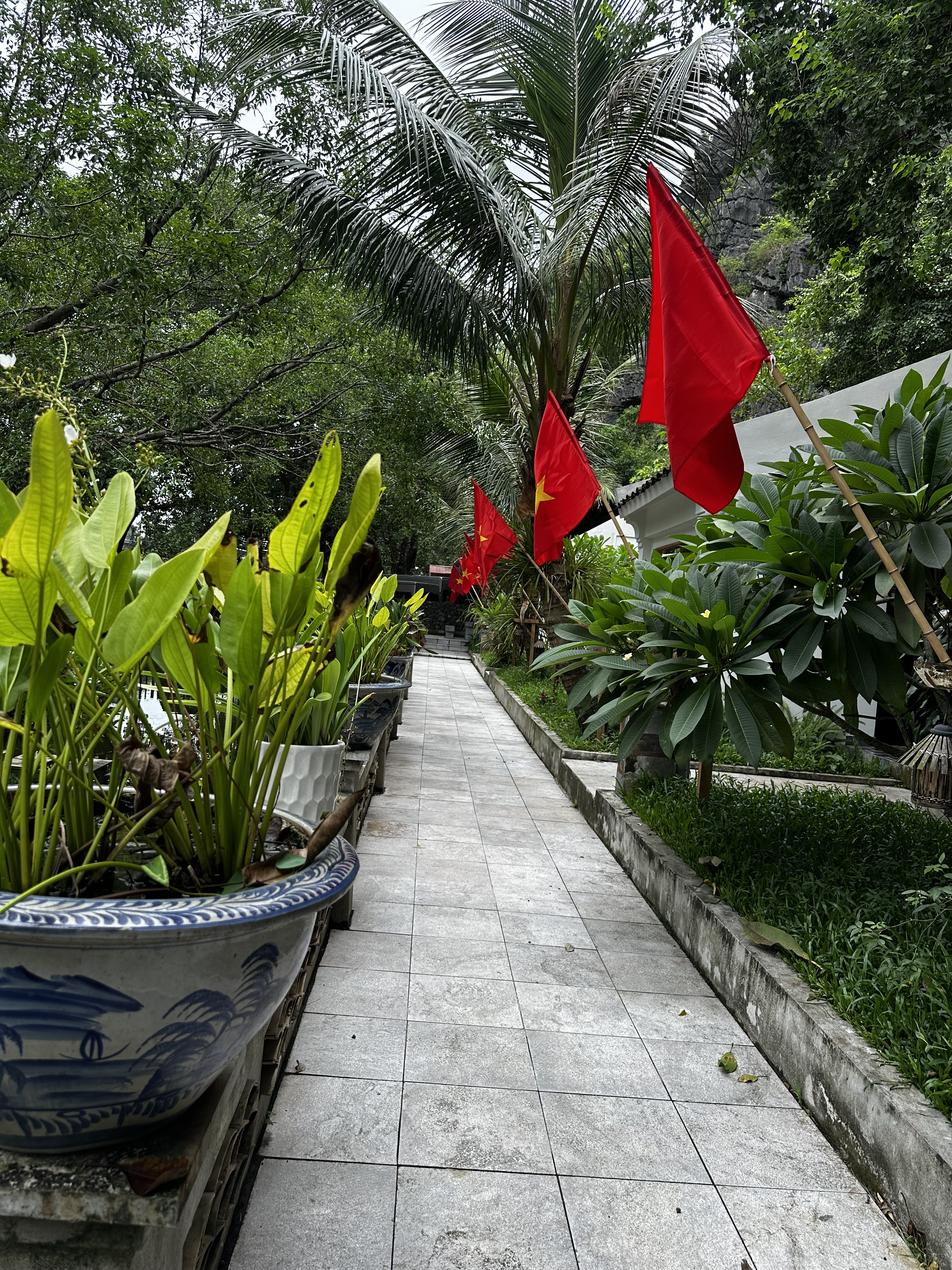 Palm-lined path with red flags, Ninh Binh Vietnam