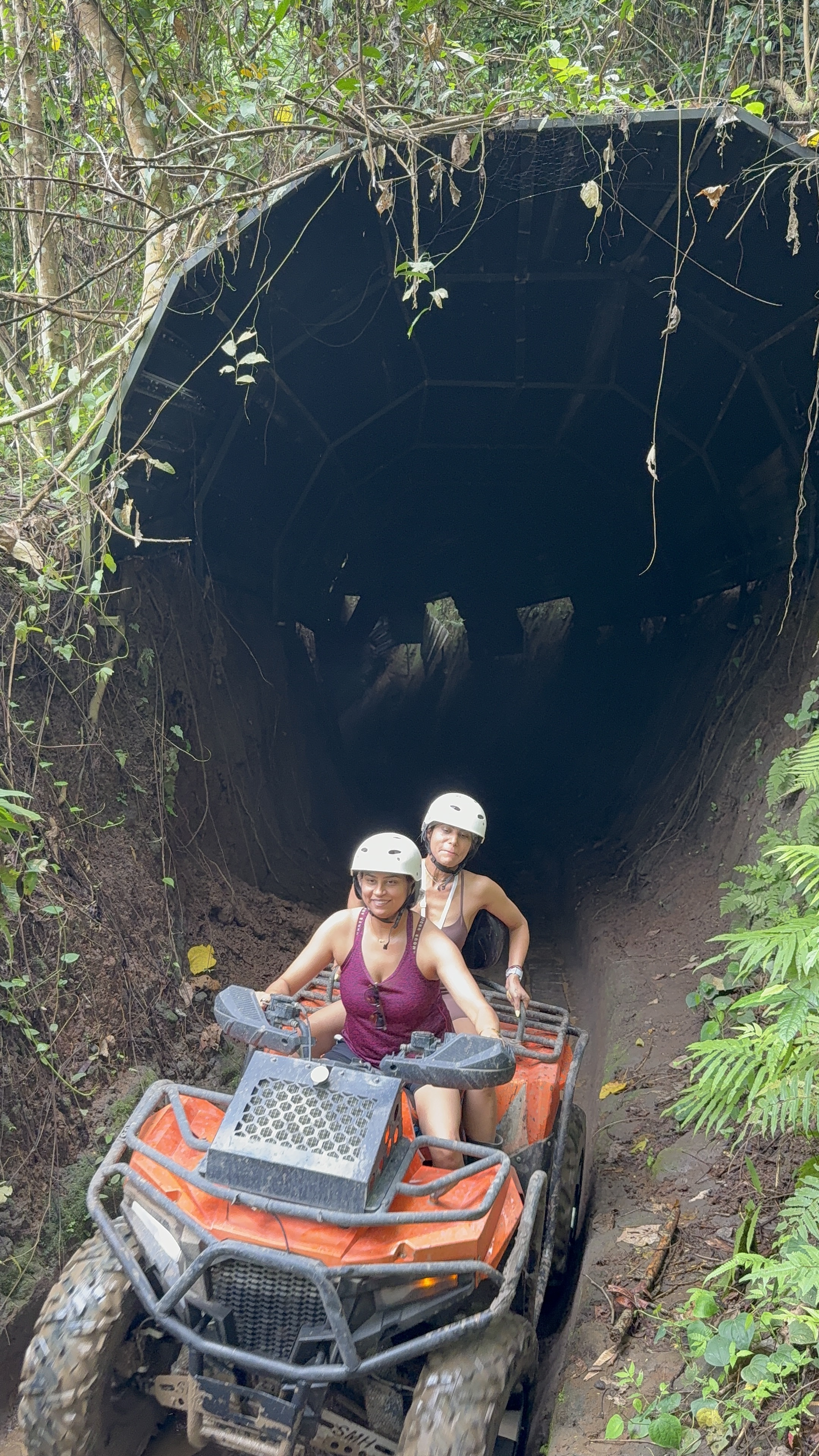 Regenerative farming, Bali