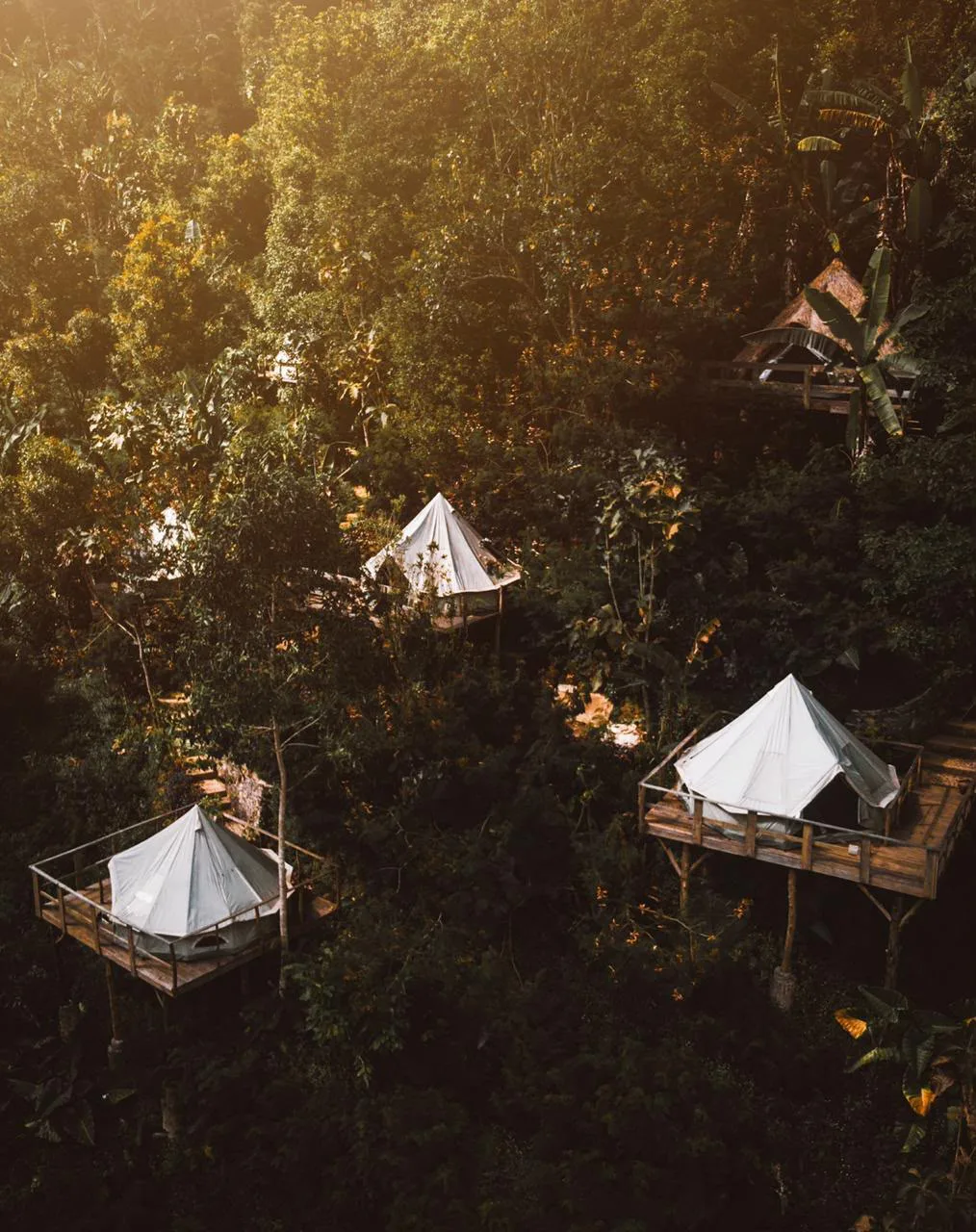 Bell tents on timber decks in the Bali jungle canopy at golden hour