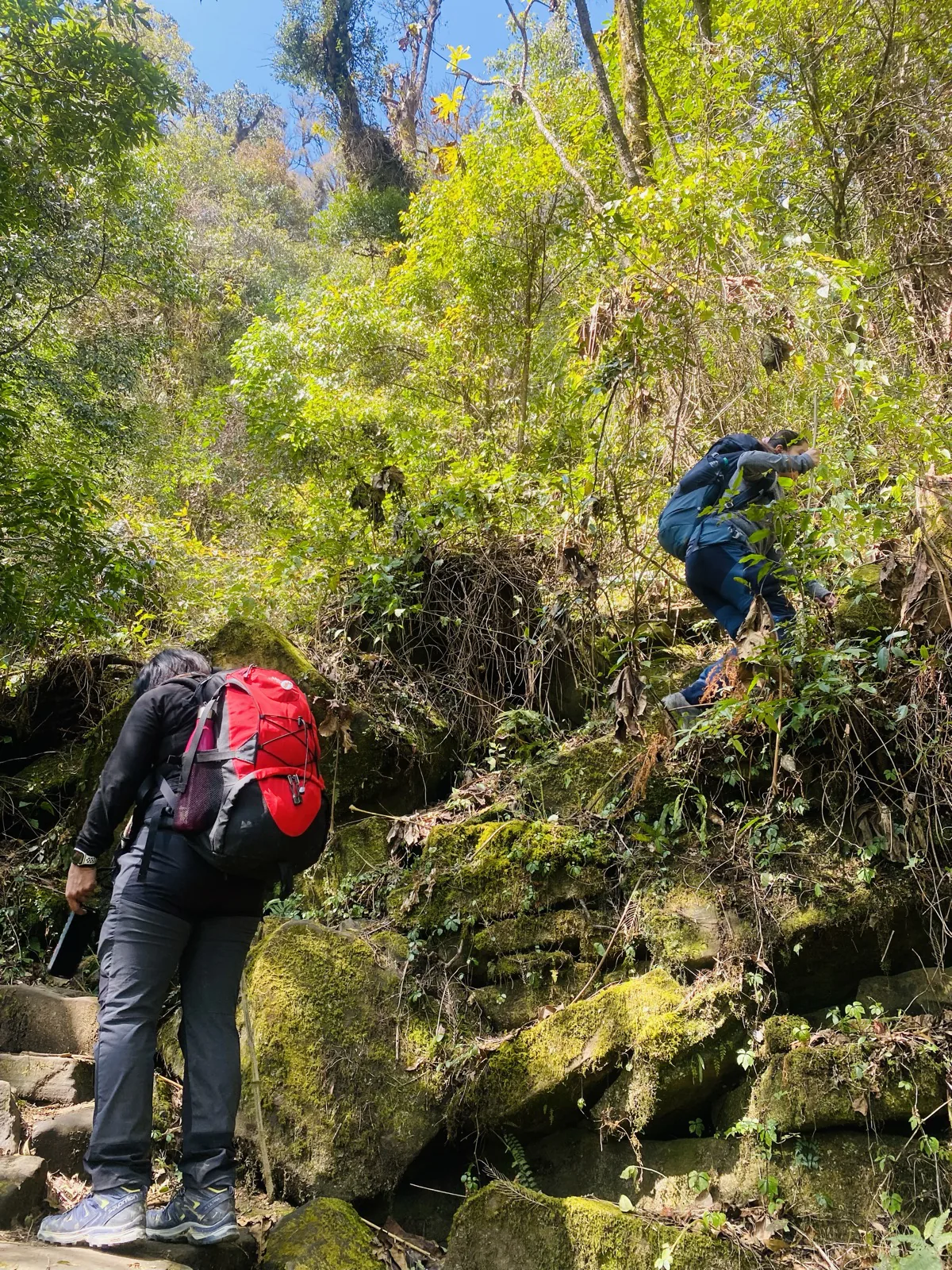 Trekking through forest on the way to a Naga heritage village