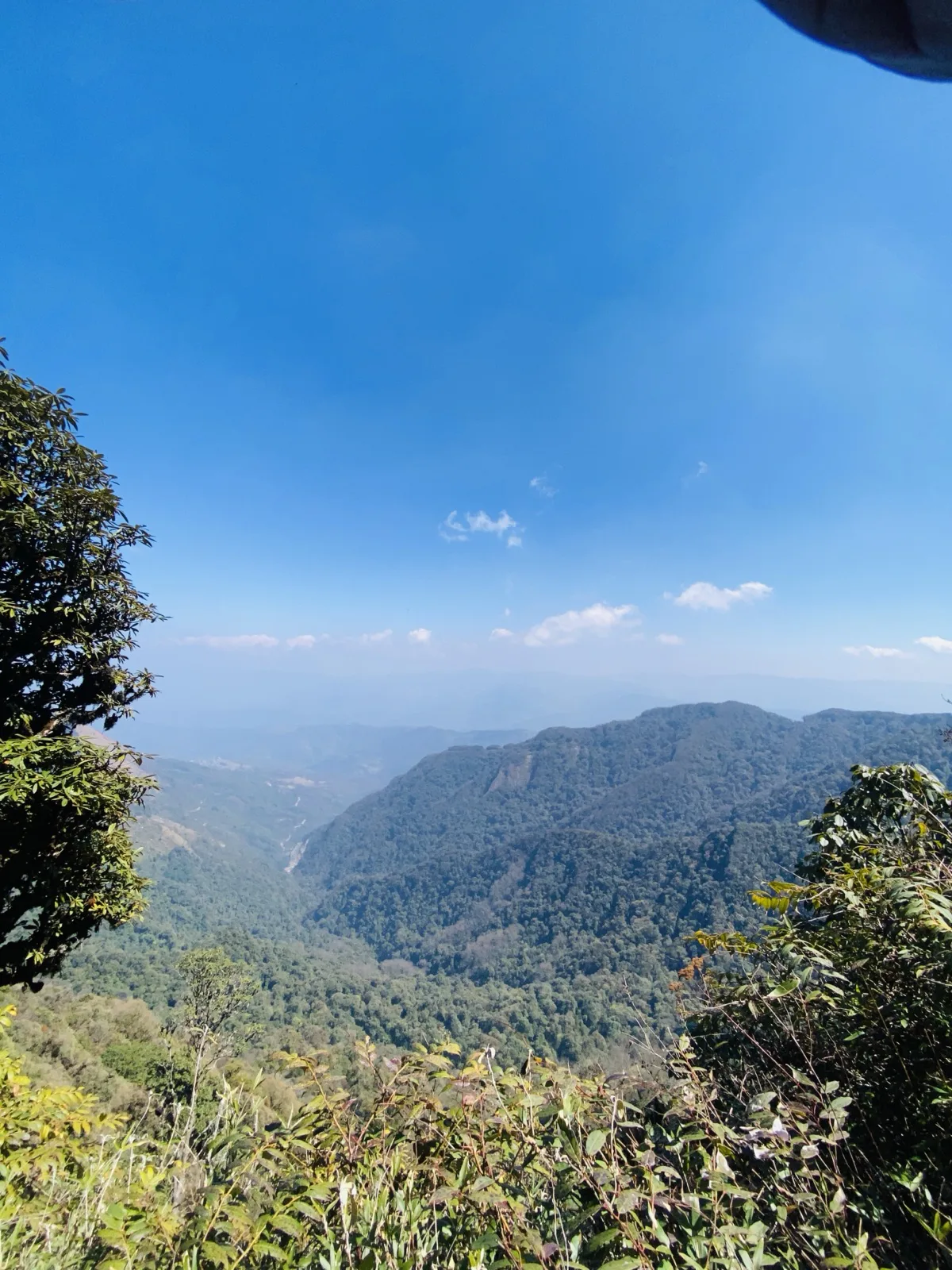 Layered forest ridges in Nagaland, northeast India