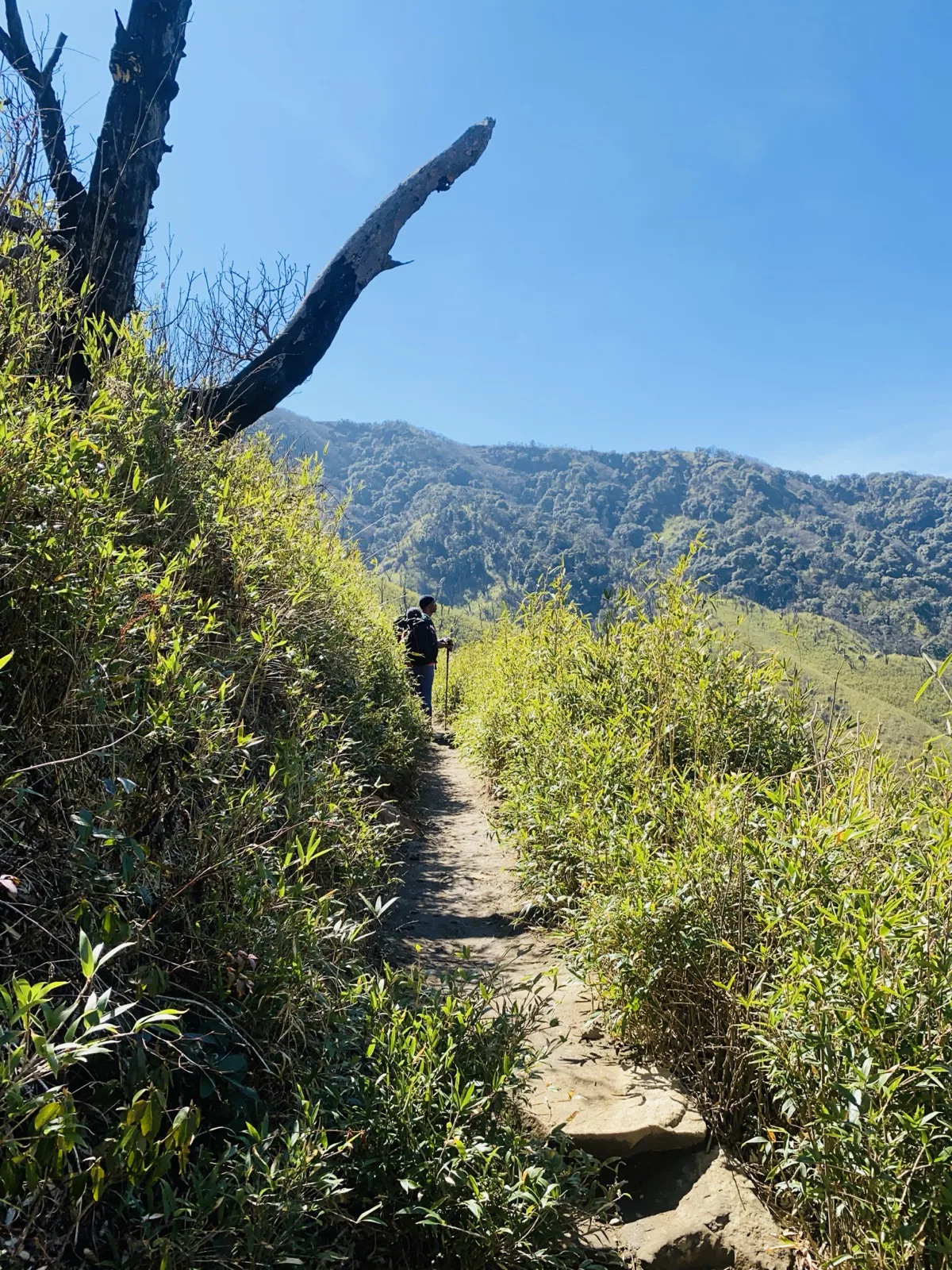 A ridge trail in Nagaland, northeast India