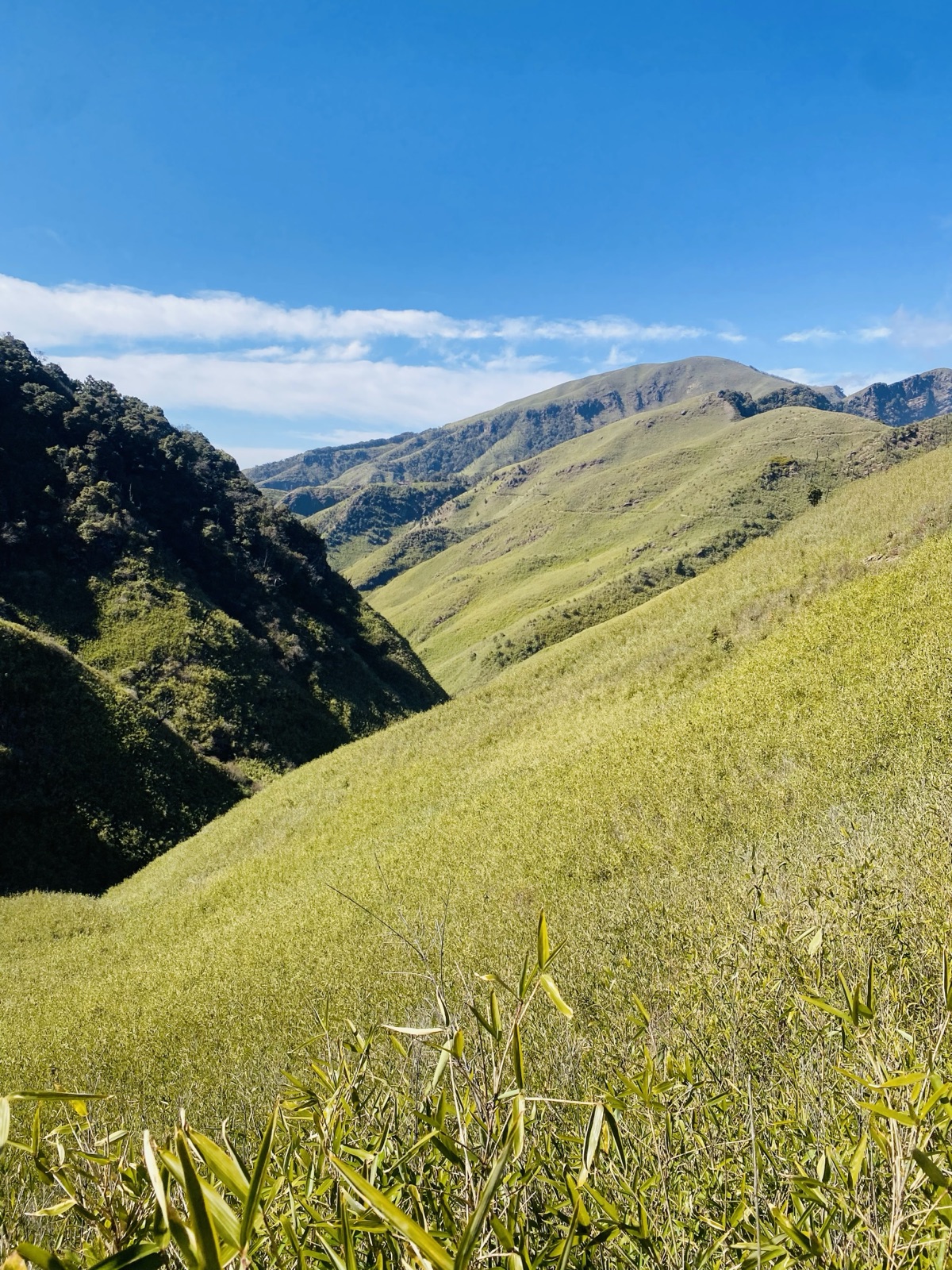 Rolling green hills of Dzukou Valley, Nagaland, Fitrip