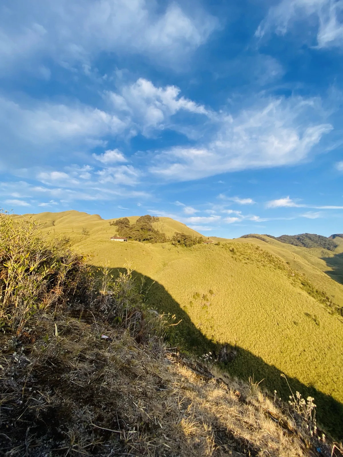 Golden hillsides above Dzukou Valley, Nagaland