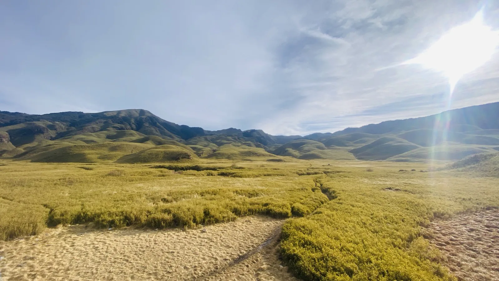 Trail through the grasslands of Dzukou Valley, Nagaland