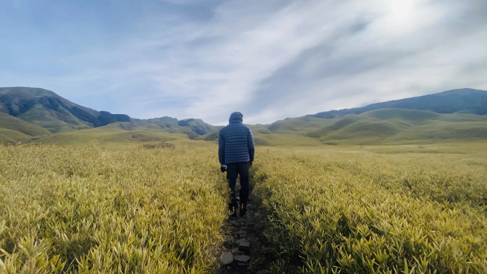 A traveller taking in the meadows of Dzukou Valley, Nagaland