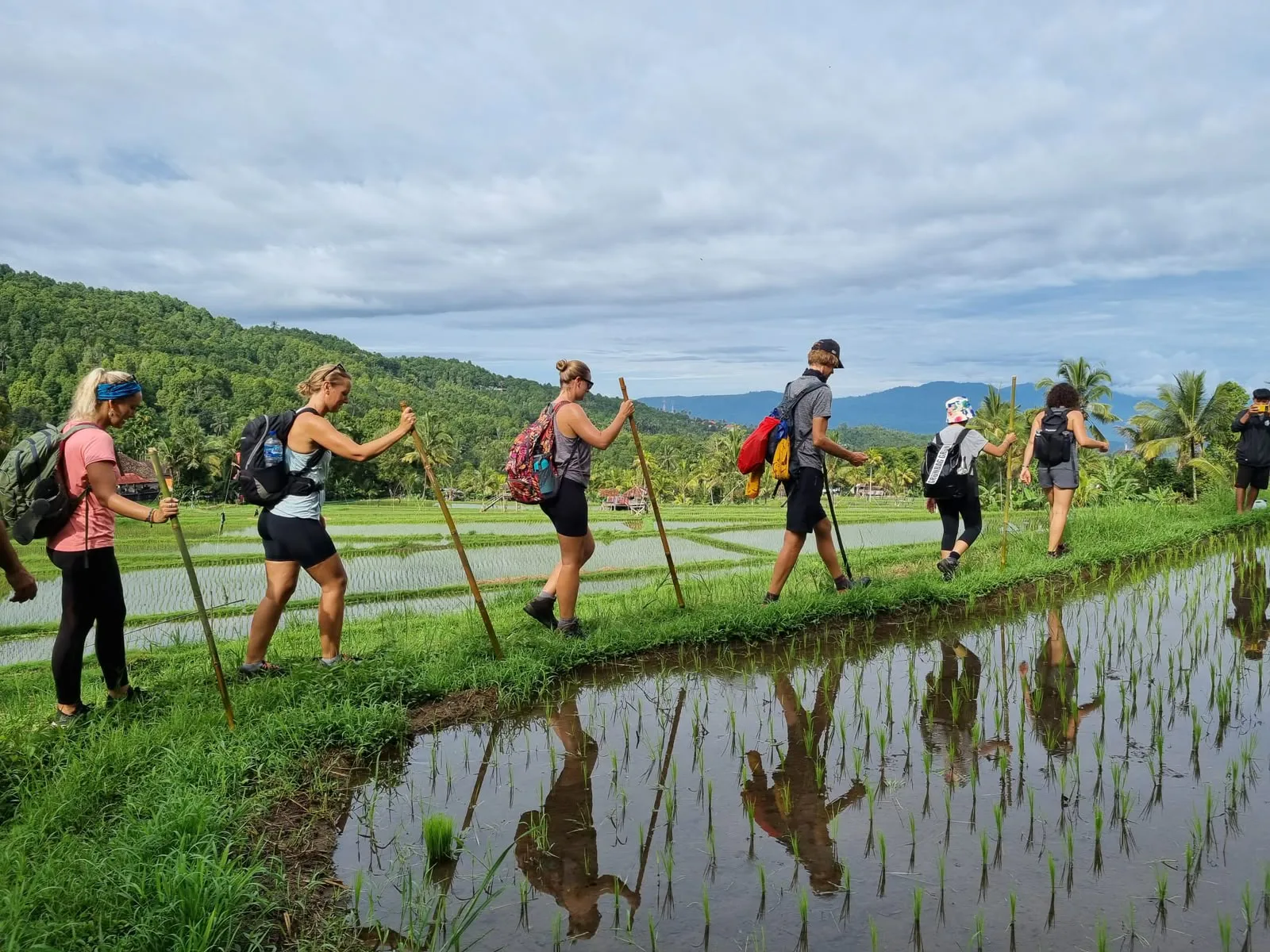 A Fitrip group walking the bunds of a working rice terrace in Bali